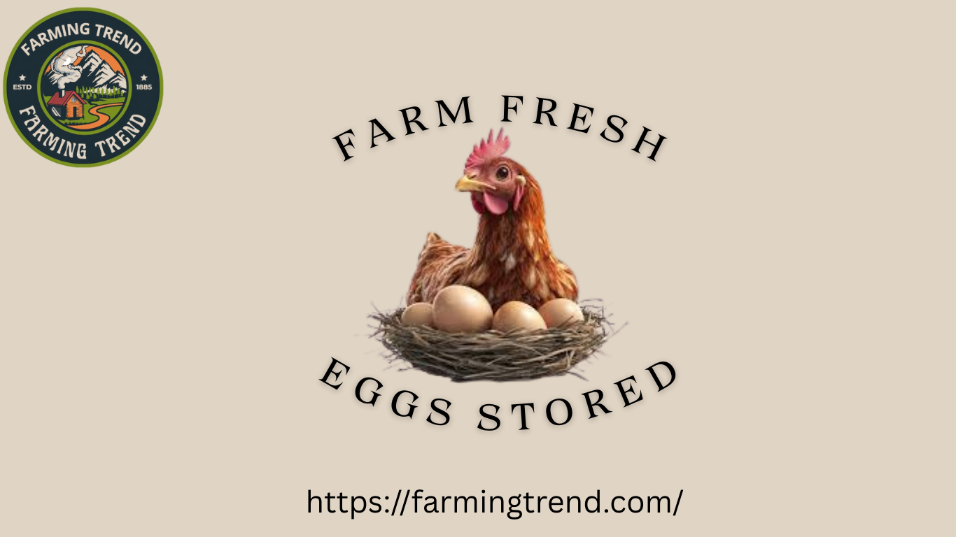 Farm-Fresh Eggs Stored