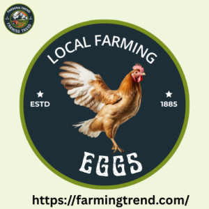 Local Farm Eggs