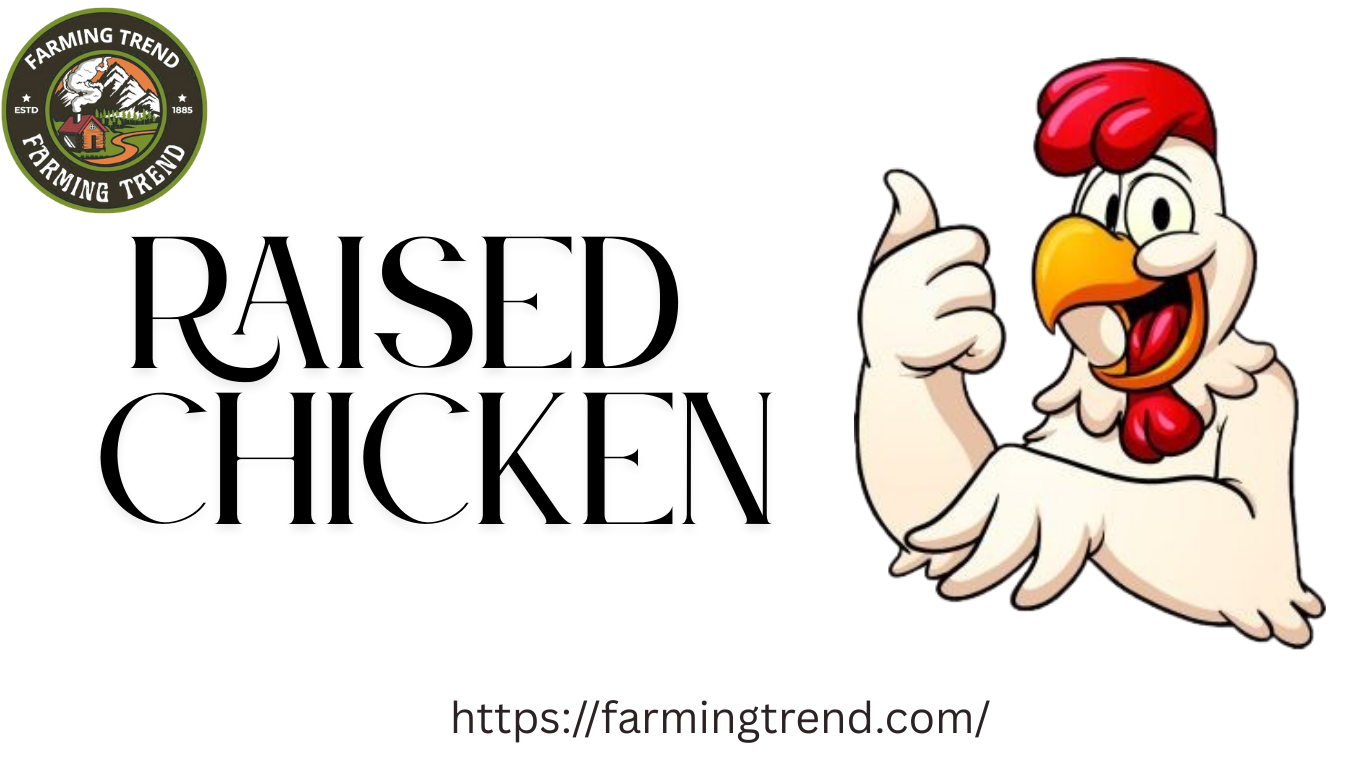 Raised Chicken