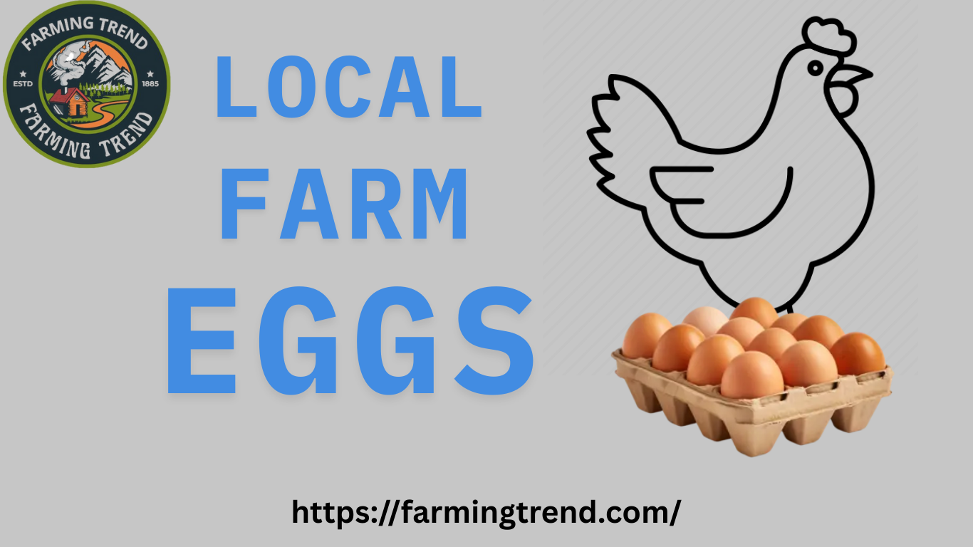 Local Farm Eggs