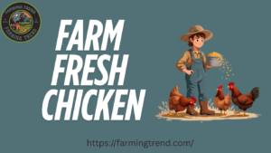 Three Types of Chicken