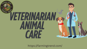 veterinarian animal care
