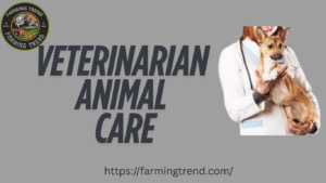 veterinarian animal care