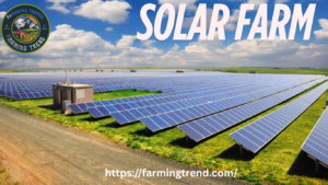 solar farms