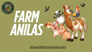 Farm Animal