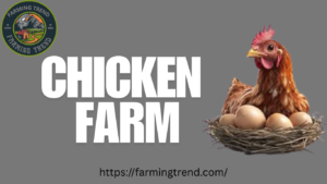 Chicken Farm