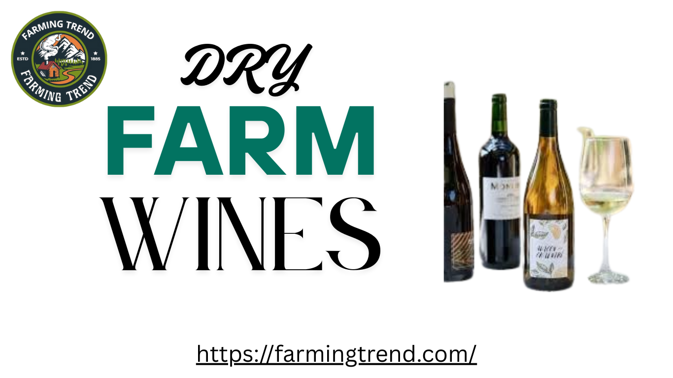 Dry Farm Wines