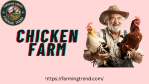 Chicken Farm