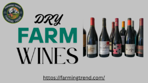 Dry Farm Wines