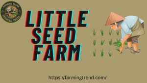 Little Seed Farm