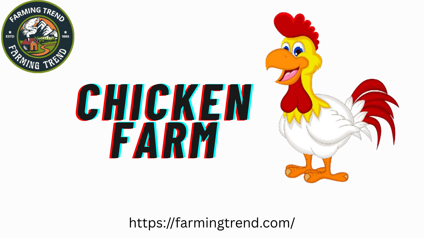 Chicken Farm