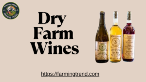 Dry Farm Wines