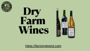 Dry Farm Wines