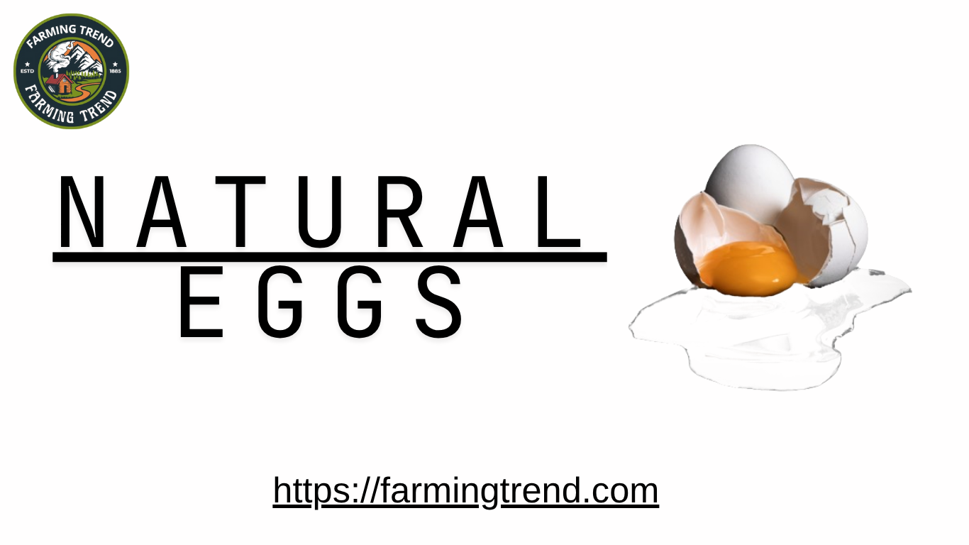 Natural Eggs